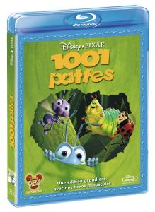 1001 pattes