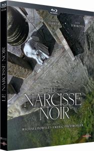 Narcisse noir (Le)