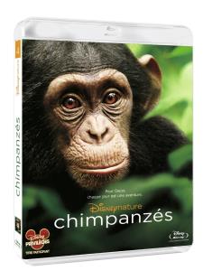 Chimpanz&eacute;s