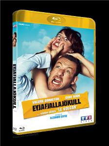 Eyjafjallaj&ouml;kull