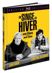 Singe en hiver (Un)