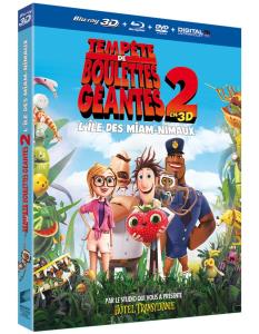 Temp&ecirc;te de boulettes g&eacute;antes 2