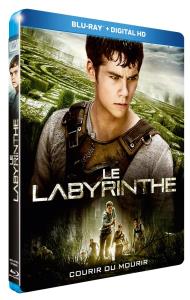 Labyrinthe (Le)