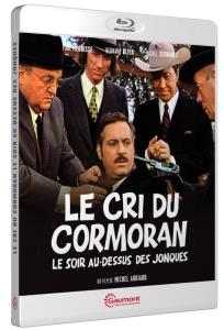 Cri du cormoran le soir au-dessus des jonques (Le)